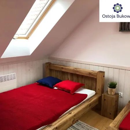 Z Basenem Nad Jeziorem Gwiazdy, Ostoja Bukowo, Kaszuby Lodge