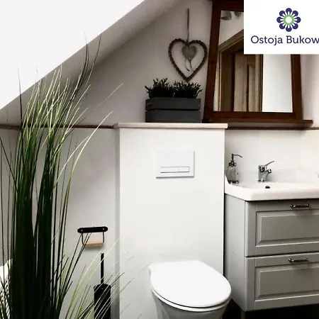 Z Basenem Nad Jeziorem Gwiazdy, Ostoja Bukowo, Kaszuby Lodge *