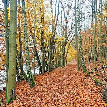Z Basenem Nad Jeziorem Gwiazdy, Ostoja Bukowo, Kaszuby