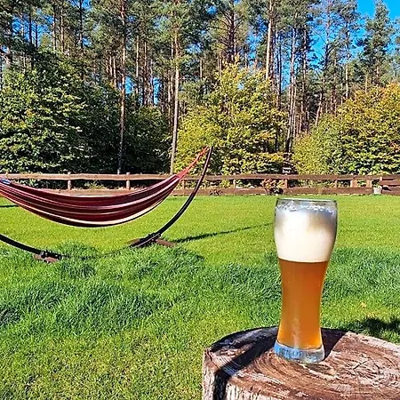 롯지 Z Basenem Nad Jeziorem Gwiazdy, Ostoja Bukowo, Kaszuby