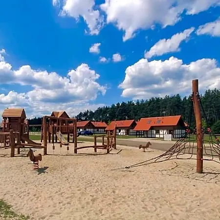 Z Basenem Nad Jeziorem Gwiazdy, Ostoja Bukowo, Kaszuby 롯지 Borowy Mlyn