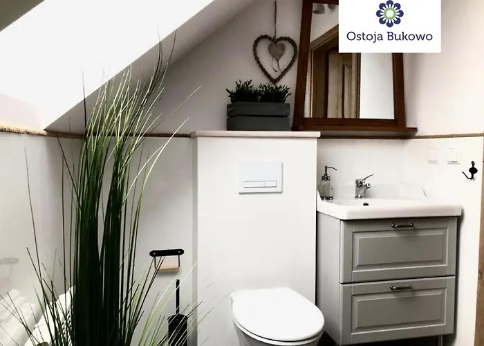 Z Basenem Nad Jeziorem Gwiazdy, Ostoja Bukowo, Kaszuby Orman Evi *