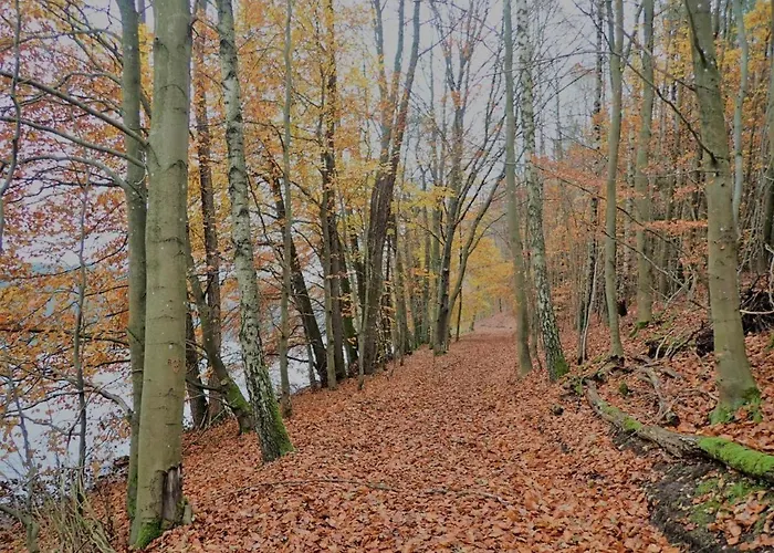 Z Basenem Nad Jeziorem Gwiazdy, Ostoja Bukowo, Kaszuby Orman Evi