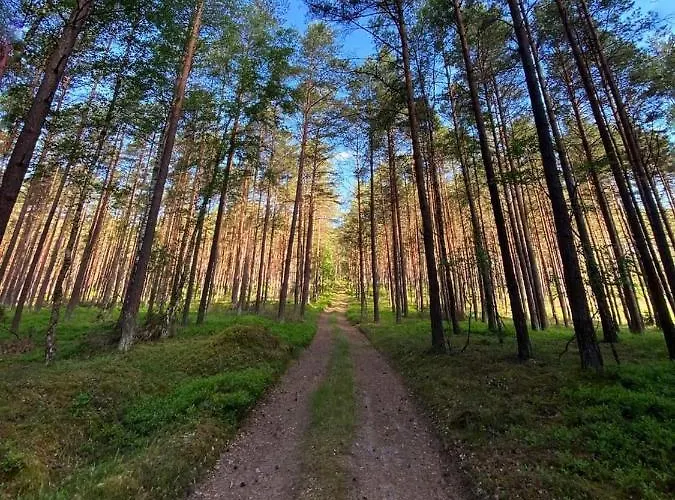 Z Basenem Nad Jeziorem Gwiazdy, Ostoja Bukowo, Kaszuby Borowy Mlyn